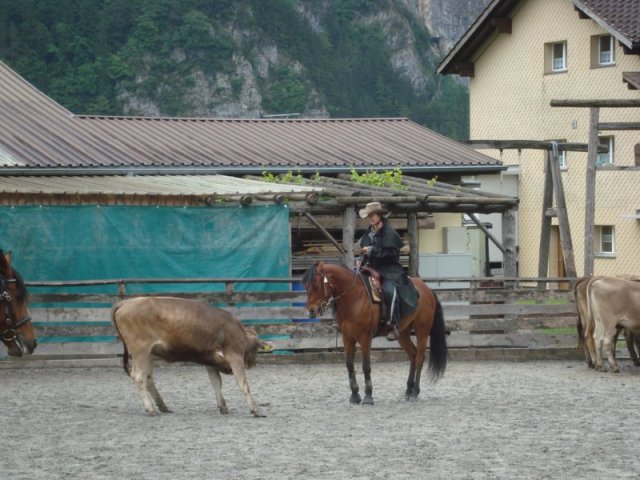 DSC04797