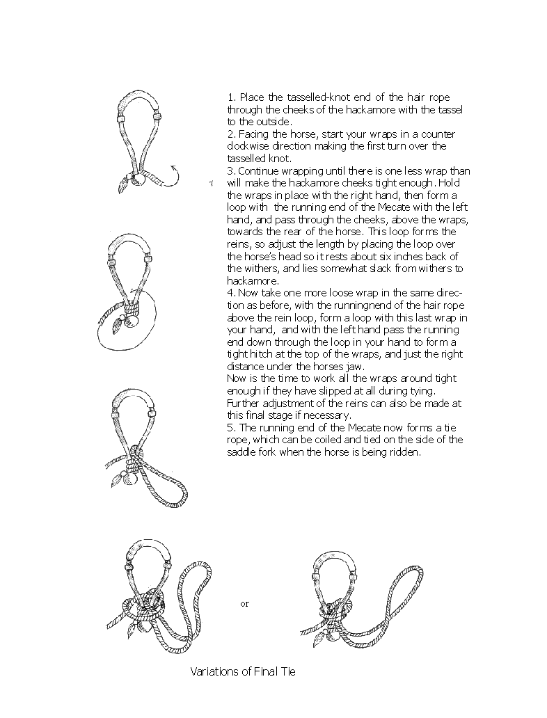 a_bosal_tie_sheet