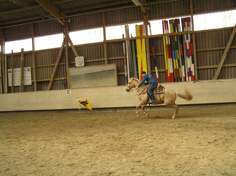 cowhorse_sins_67_20081222_1694410465