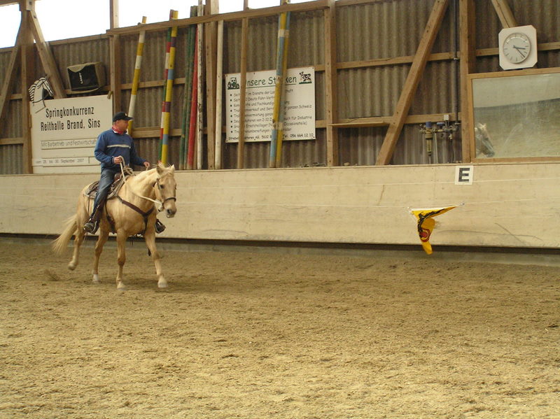 cowhorse_sins_68_20081222_1952560155